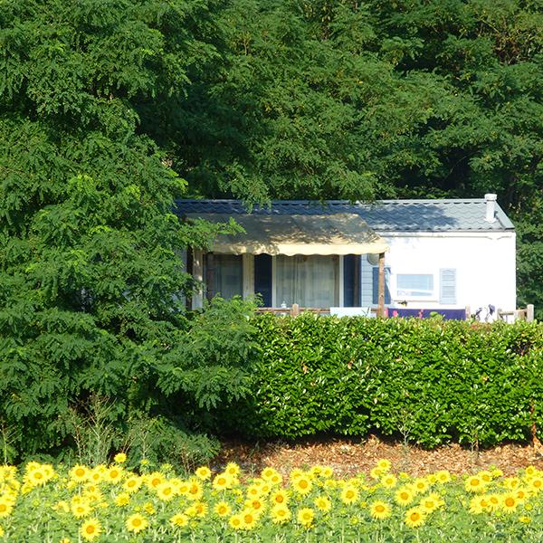 Camping Sud Ardèche - Rosières en Ardèche