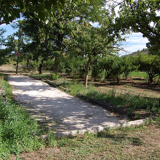 Camping Sud Ardèche - Rosières en Ardèche