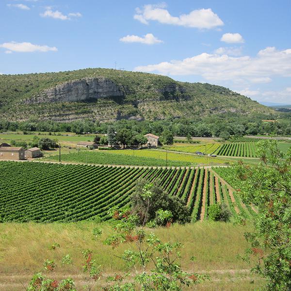 Camping Sud Ardèche - Rosières en Ardèche