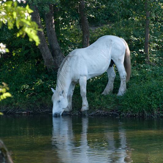 Camping Sud Ardèche - Rosières en Ardèche