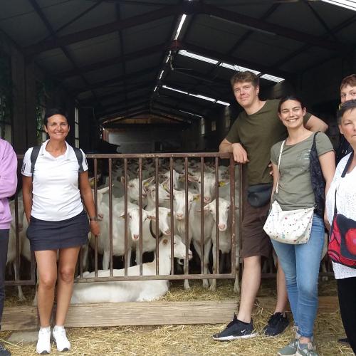 Les visites Bergerie - Camping Les Vernades