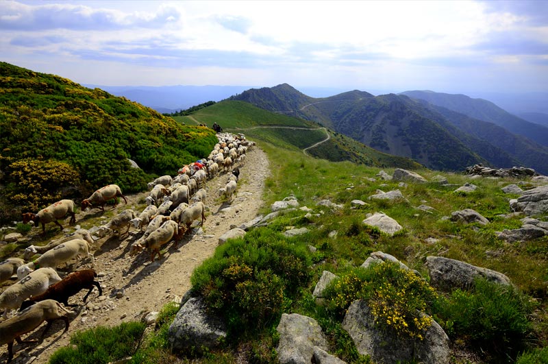 Bienvenue en cévennes d'Ardèche Bienvenue en cévennes d'Ardèche