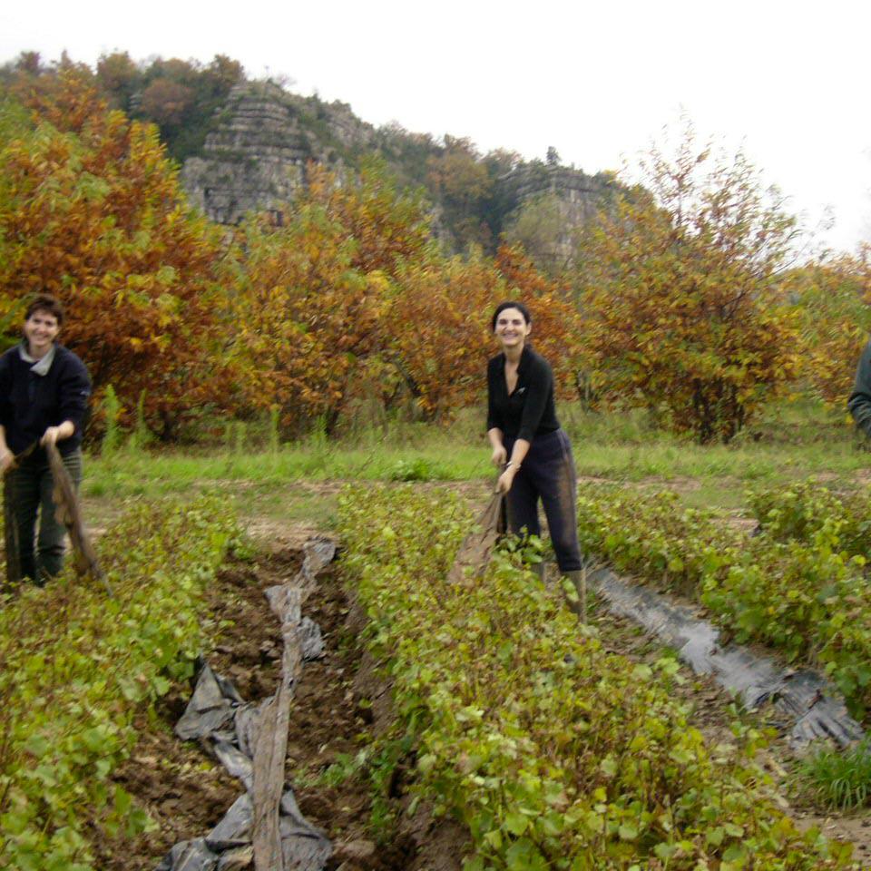 M. Beissier et ses filles