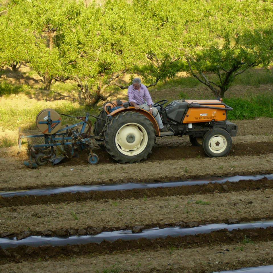 Préparation du terrain