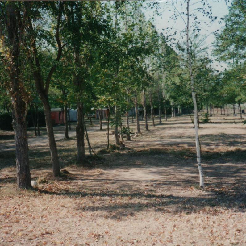 Emplacements de camping